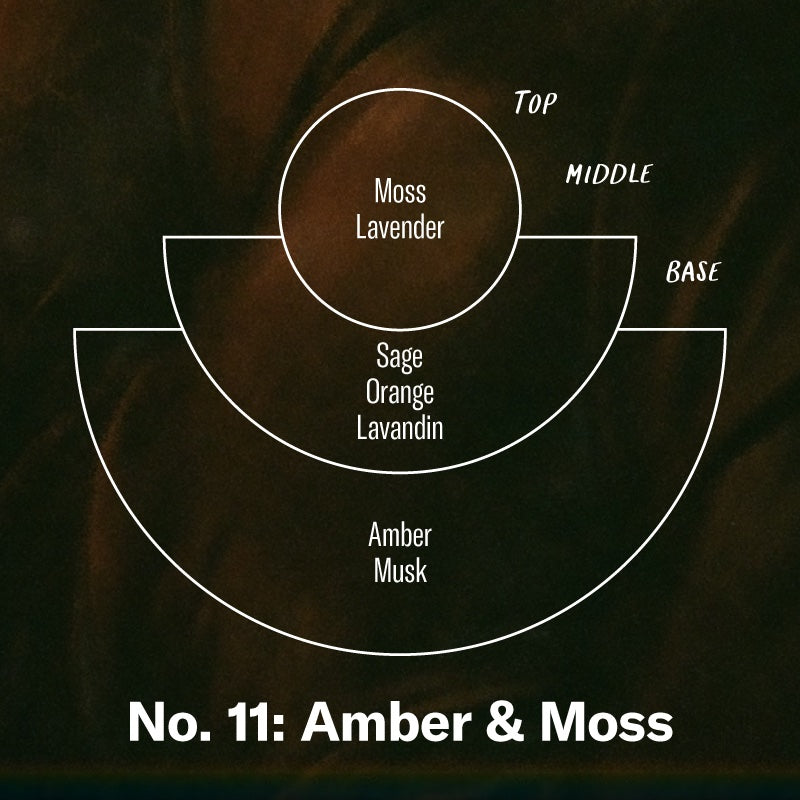 Amber & Moss– Large Concentrated Candle