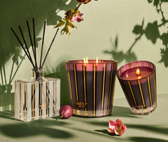 Autumn Plum 3-Wick Candle